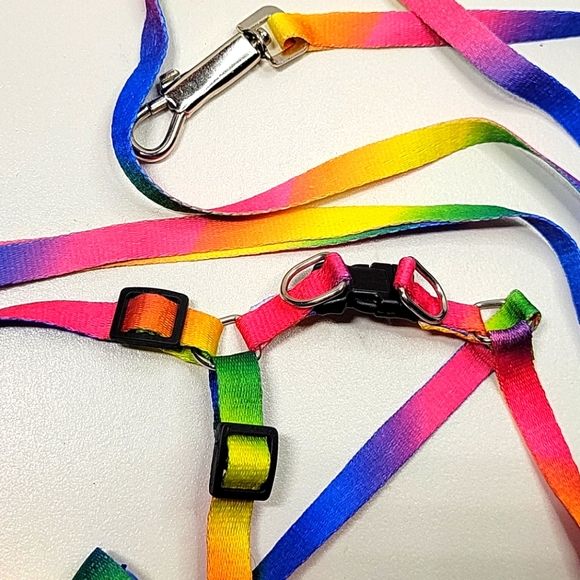Dog leash & harness 2pc rainbow set NEW - Picture 8 of 9